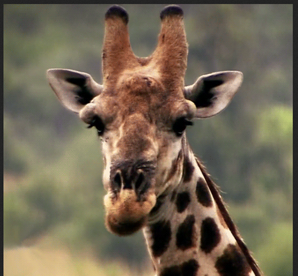 A Day in the Life of a Tall Girl (in Gifs) | The Junoesque, image size:1000x928