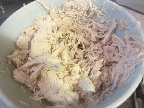 Chicken all shredded