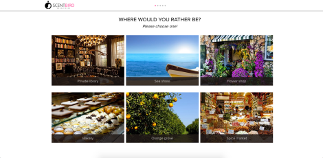 Screen Shot 2015-08-04 at 4.49.46 PM